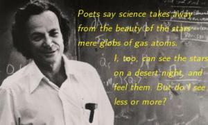 Feynman: wonder in Science